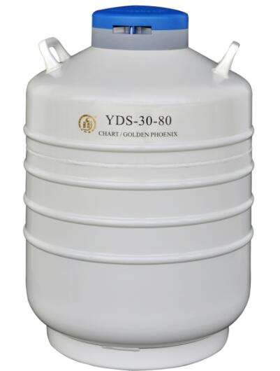 成都液氮罐廠家 型號:YDS-30-80